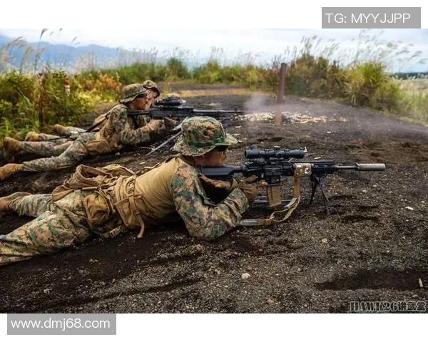 Viper射手在战术应用中的独特价值与战略分析探讨