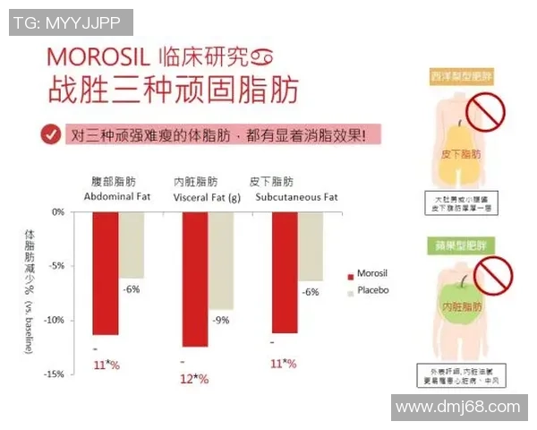 全面提升体能与健康的运动攻略打造科学高效的健身计划与运动习惯 全面提升体能与健康的运动攻略打造科学高效的健身计划与运动习惯