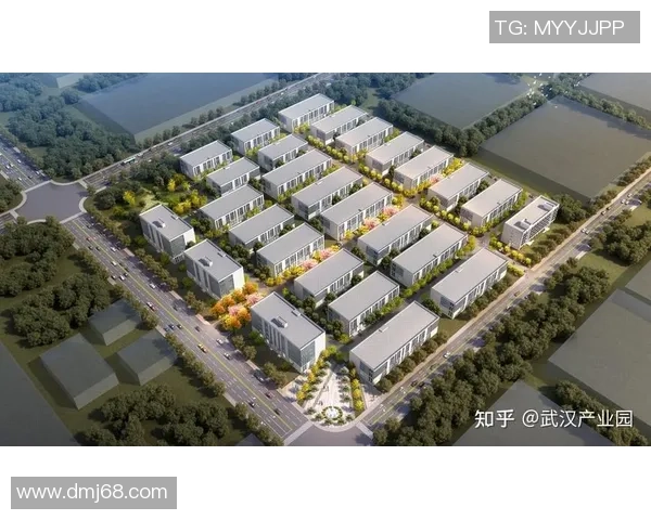 福建浔兴股份加快产业升级推动智能制造与全球市场布局融合发展