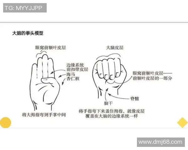 跳水运动的魅力与挑战：从技巧到心理素质的全面解析