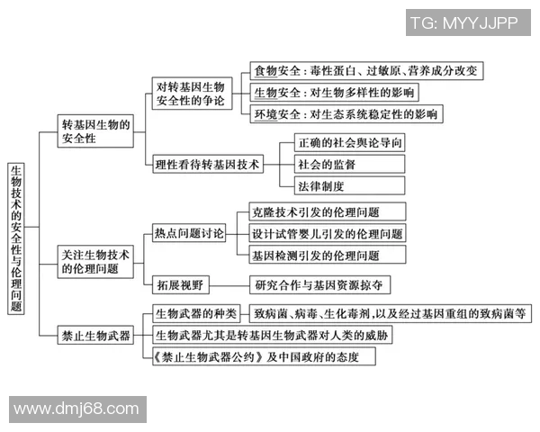 运动科技的融合与创新：未来体育发展趋势与技术突破解析